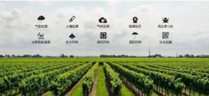 1694412707858702.jpg 21031101.jpg