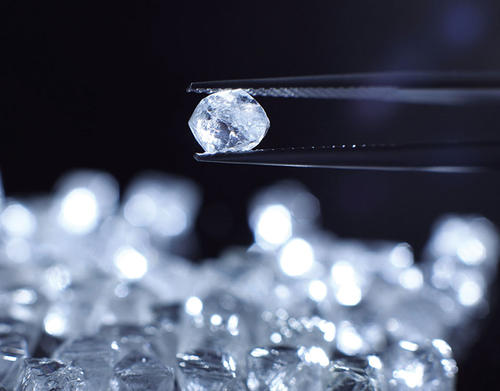 1718854756459774.jpg 21030501.jpg