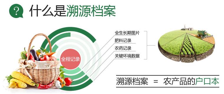 1726041867329398.jpg 21072101.jpg